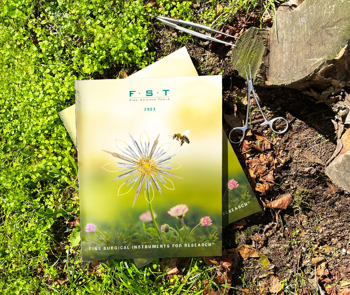 FST 2019 cat cover
